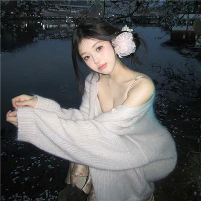 美国之子